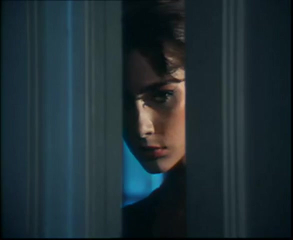 El trío anal retro de Rocco Siffredi (La conquista anal incondicional de Tarzán)