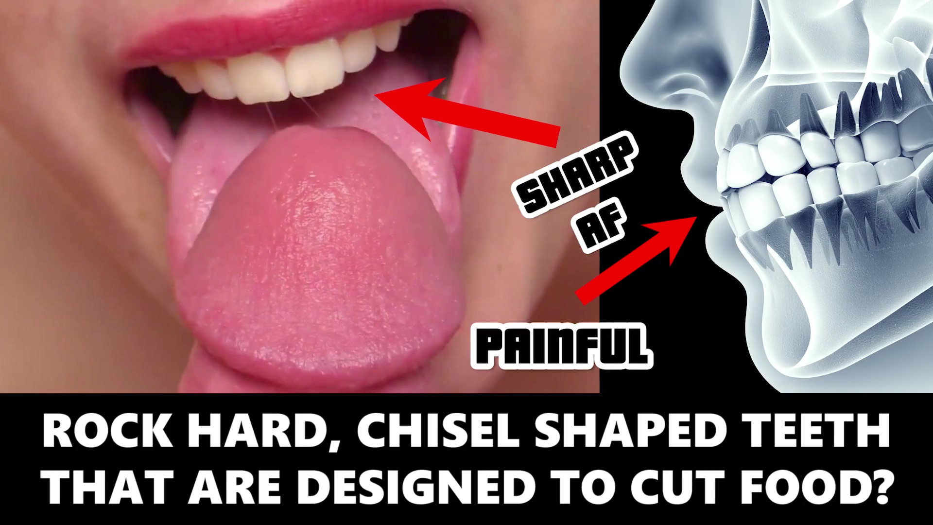 Tutorial de mamada: 10 formas de chupar mejor la polla