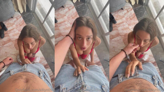 Mega K8Lyn096 14